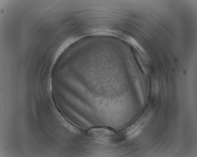 X0000067891376200604271815