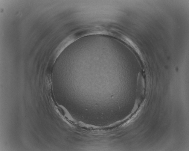 X0000067891377200604271815