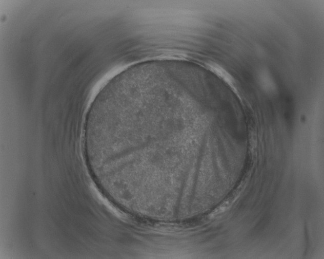 X0000067891379200604271815