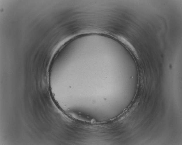 X0000067891380200604271815