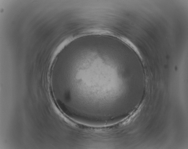 X0000067891381200604271815