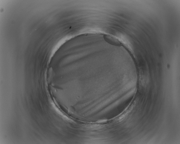 X0000067891382200604271815