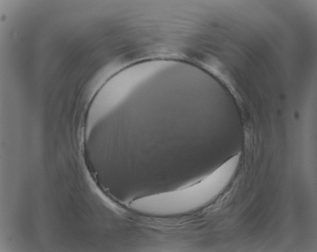 X0000067891383200604271815