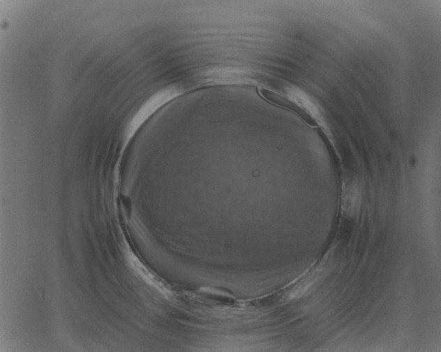 X0000067891386200604271815