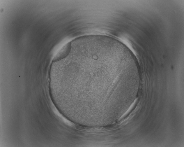 X0000067891387200604271815