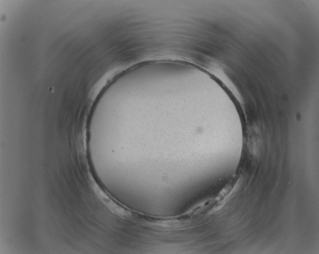 X0000067891388200604271815