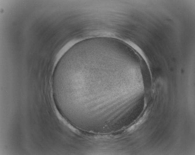 X0000067891389200604271815