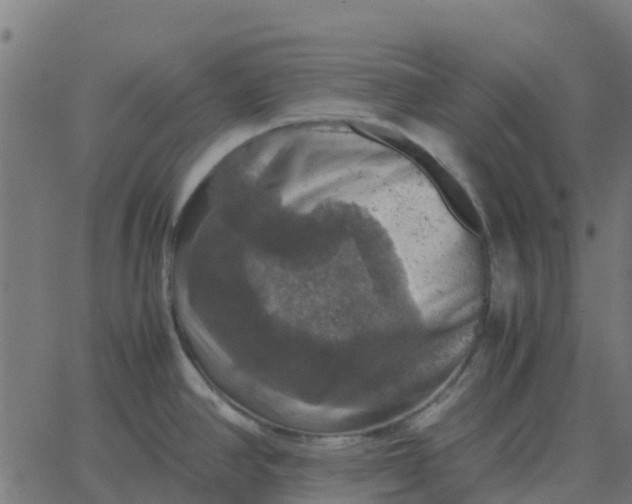 X0000067891390200604271815