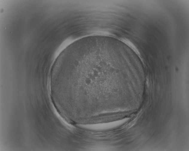 X0000067891391200604271815