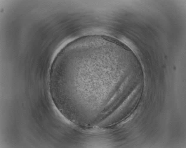 X0000067891392200604271815