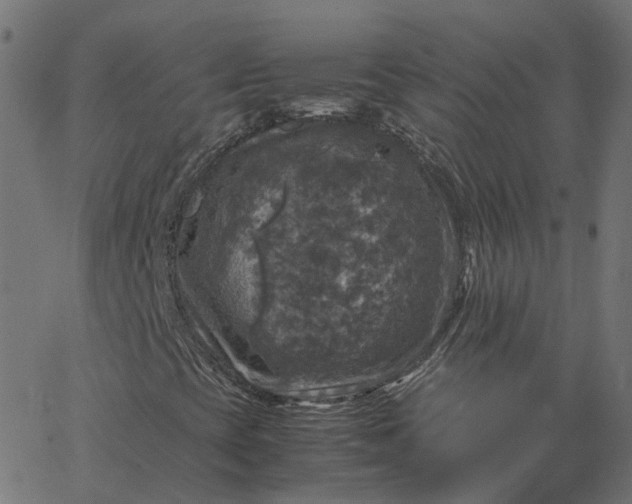 X0000067891393200604271814