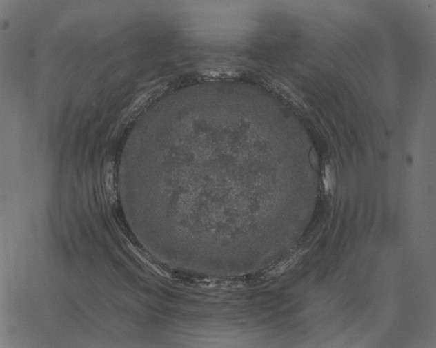 X0000067891396200604271814