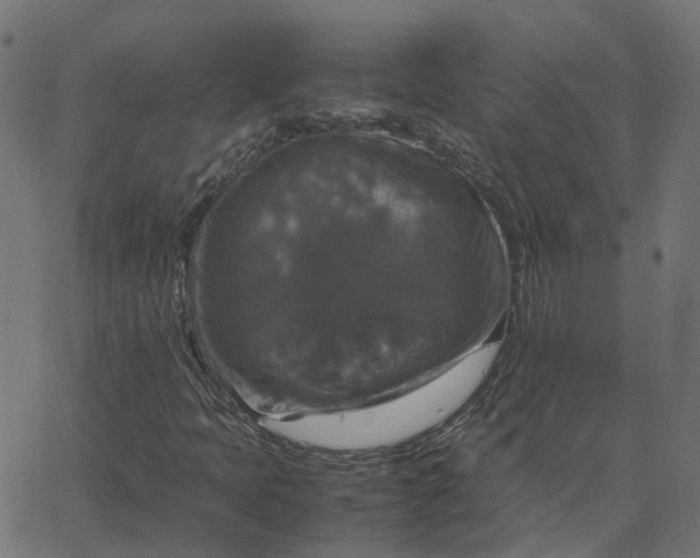 X0000067891397200604271814