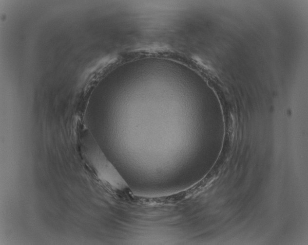 X0000067891398200604271814