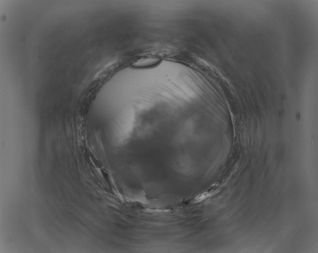 X0000067891399200604271814