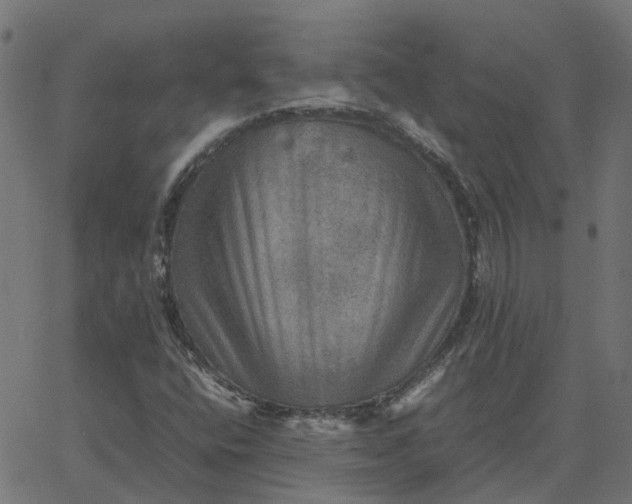 X0000067891400200604271814