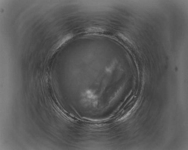 X0000067891401200604271814