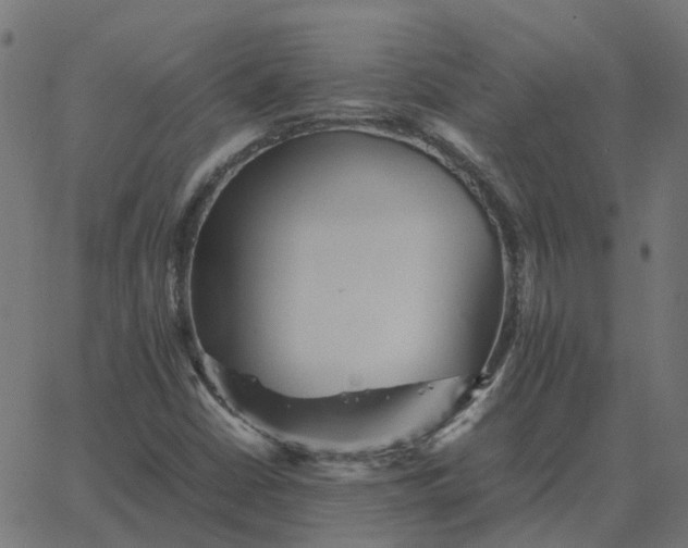 X0000067891402200604271814