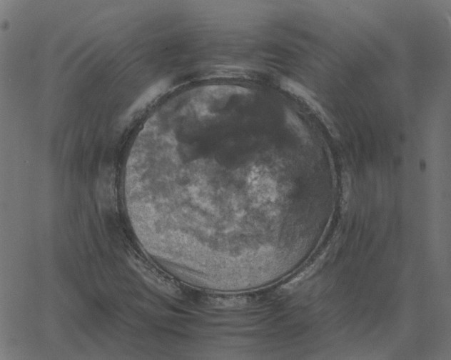 X0000067891403200604271814