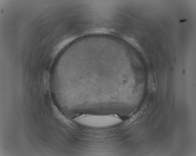 X0000067891404200604271815