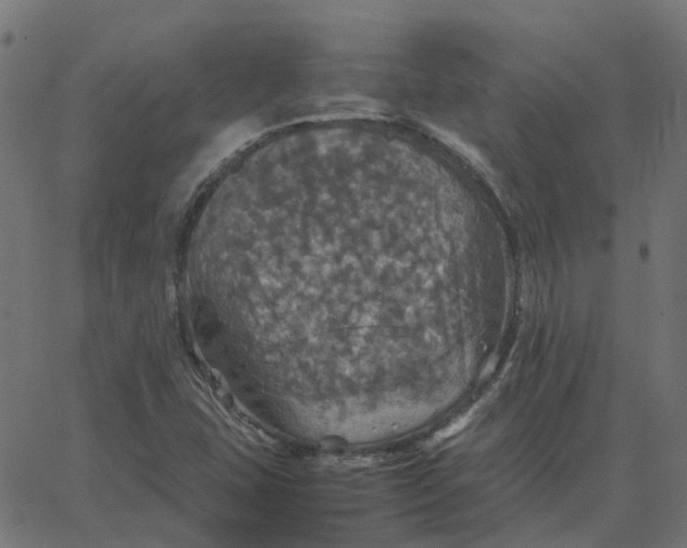 X0000067891407200604271815