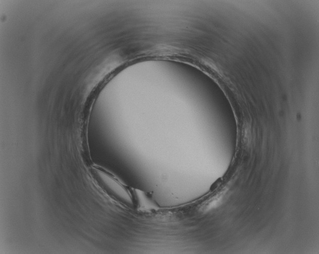 X0000067891410200604271815