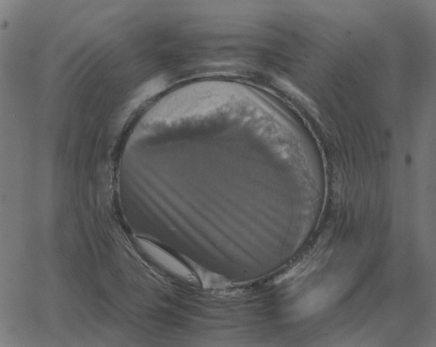 X0000067891411200604271815