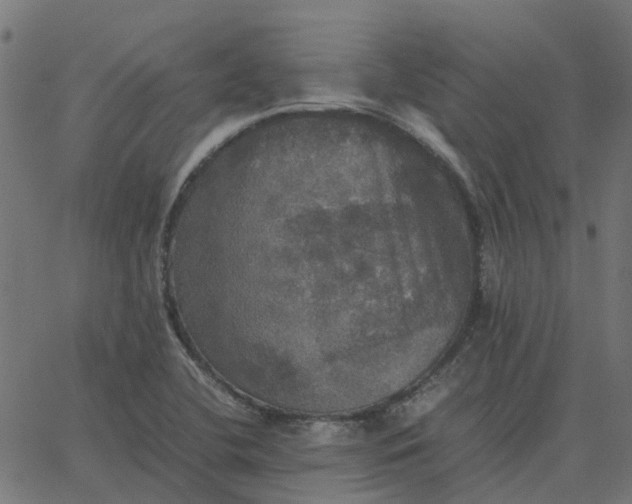 X0000067891412200604271815