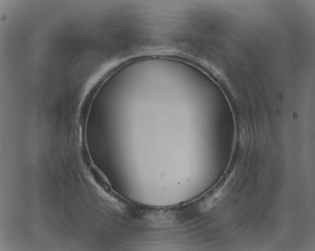 X0000067891414200604271815