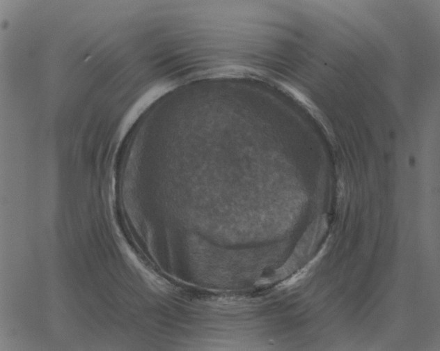 X0000067891418200604271815