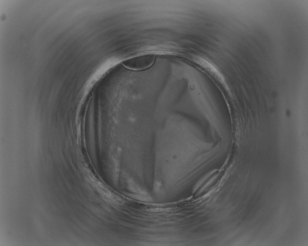 X0000067891419200604271815