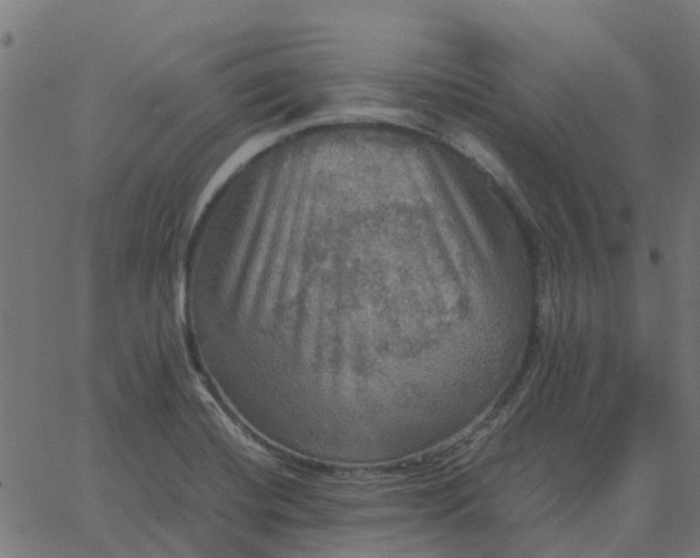 X0000067891420200604271815