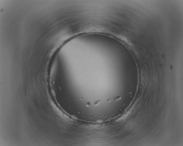 X0000067891422200604271815