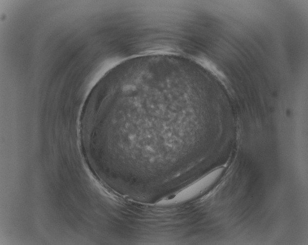 X0000067891423200604271815