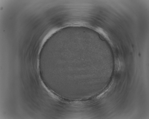 X0000067891424200604271815