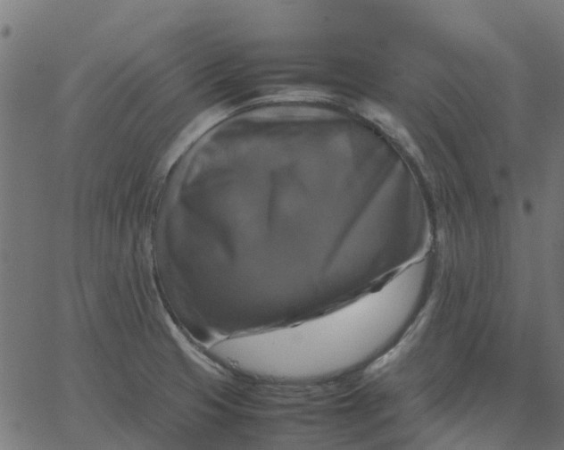 X0000067891425200604271815