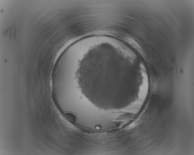 X0000067891428200604271815