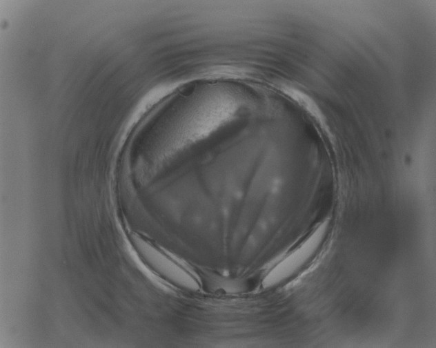 X0000067891429200604271815