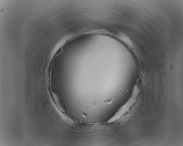 X0000067891430200604271815