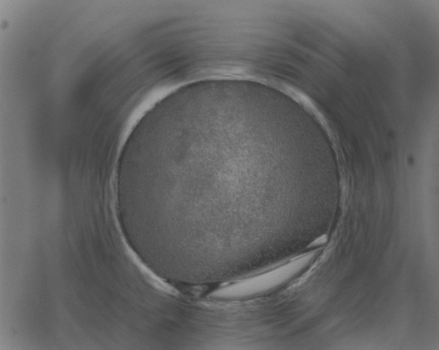 X0000067891432200604271815