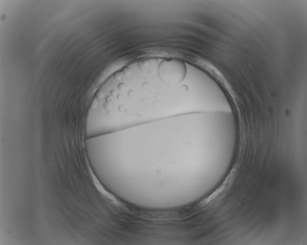 X0000067891433200604271815