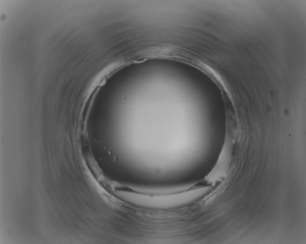 X0000067891434200604271815