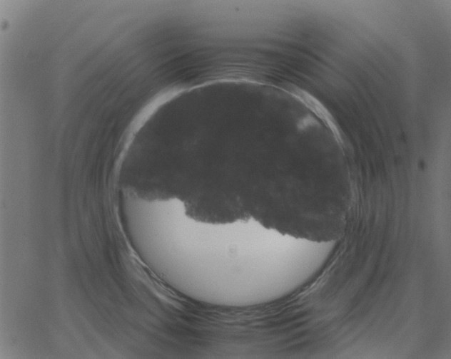 X0000067891435200604271815