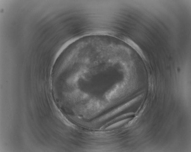 X0000067891436200604271815