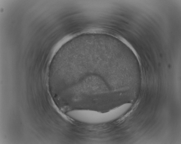 X0000067891437200604271815