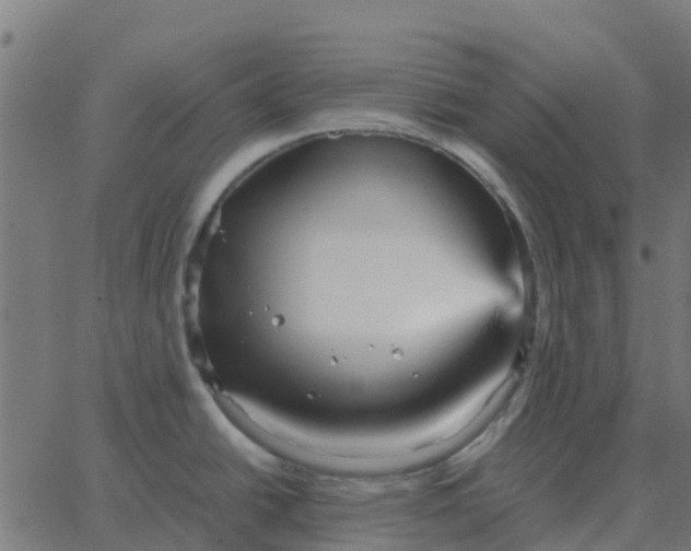 X0000067891438200604271815