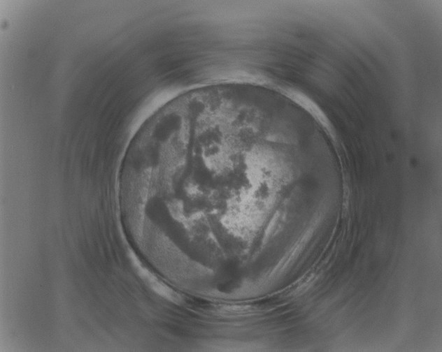 X0000067891439200604271815