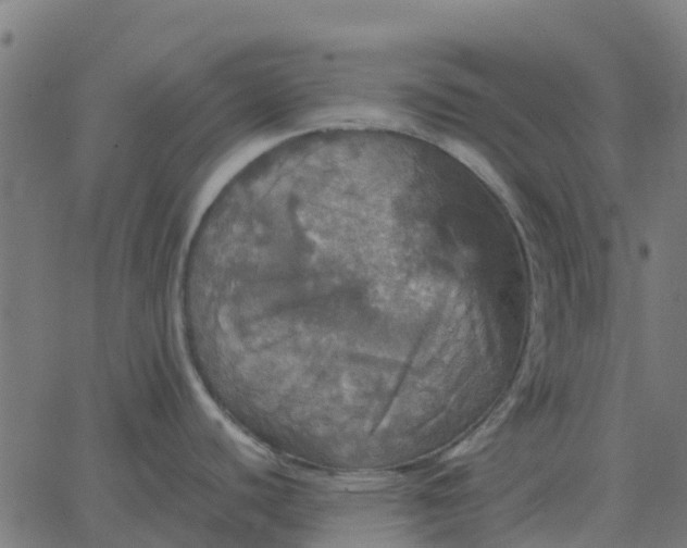 X0000067891440200604271815