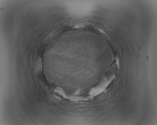 X0000067891443200604271814