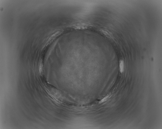 X0000067891444200604271814